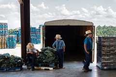 Amish-Boys-at-the-Hart-County-Produce-Auction.-Hart-County-Kentucky-2021.-Kentucky-Documentary-Photographic-Project-II.-0DJon-Cherry0D-3