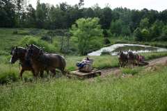 Exercising-Draft-Horses.-Adair-County-Kentucky-2022.-Kentucky-Documentary-Photographic-Project-II.-0D0ABrittany-Greeson0D0A-3
