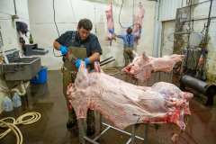 Hog-Processing-Showalters-Country-Meats.-Casey-County-Kentucky-2021.-Kentucky-Documentary-Photographic-Project-II.-0D0AJohn-Nation0D0A-3