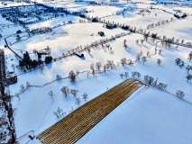 Winter-Landscape.-Woodford-County-Kentucky-2021.-Kentucky-Documentary-Photographic-Project-II.-0D0ABob-Hower0D0A-3