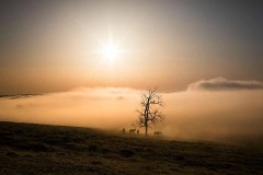 Landscape, near Harrodsburg, KY. 2018 - Alyssa Schukar