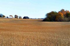 Farm Landscape, near Russellville, KY.  2019 – Bob Hower