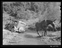 1. Mule pulling bogged down car from creekbed. South Fork of the Kentucky River, Breathitt County Kentucky, 1940. Farm Security Administration. Marion Post Wolcott