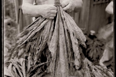 Hand-of-Tobacco-Bath-County-1975-BH