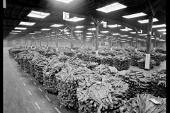 Interior-Grower’s-Tobacco-Warehouse-Maysville-Mason-County-1977-BB