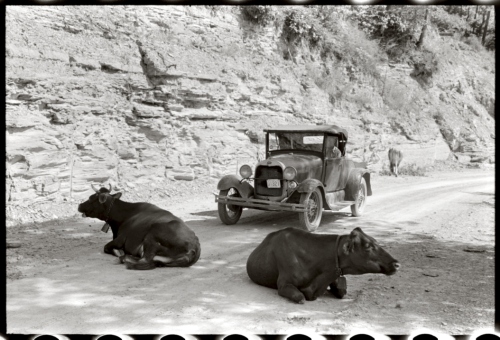 7.-One-of-the-hazards-of-driving-over-Kentucky-mountain-roads.-Near-Jackson-Breathitt-County-Kentucky1940.-Farm-Security-Administration.-0DMarion-Post-Wolcott0D-2