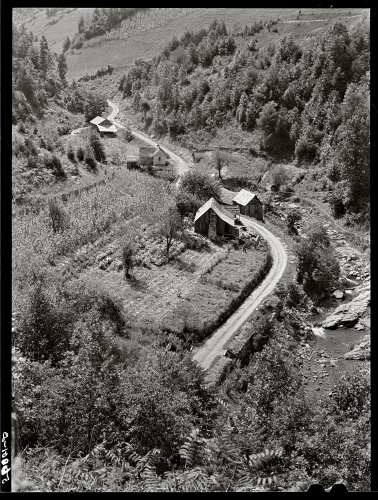 3. Mountain homes along creek showing tobacco patch and corn field in Eastern Kentucky.  Eastern Kentucky, 1940. Farm Security Administration. Marion Post Wolcott